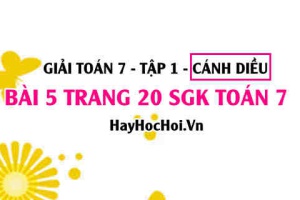Giải bài 5 trang 20 Toán 7 Tập 1 SGK Cánh Diều